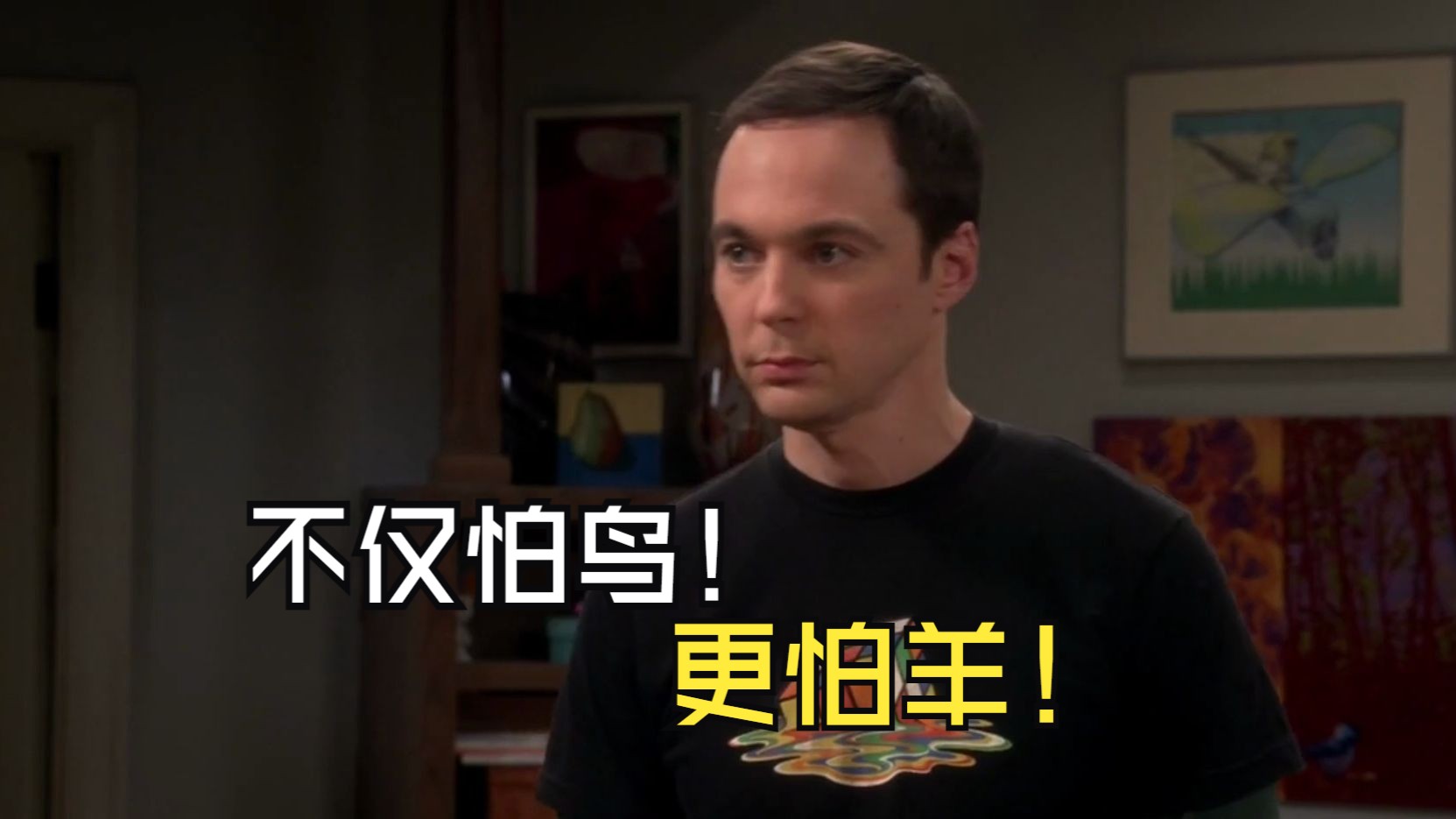 TBBT 你觉得我怕鸟那是你还没让我见到羊!哔哩哔哩bilibili