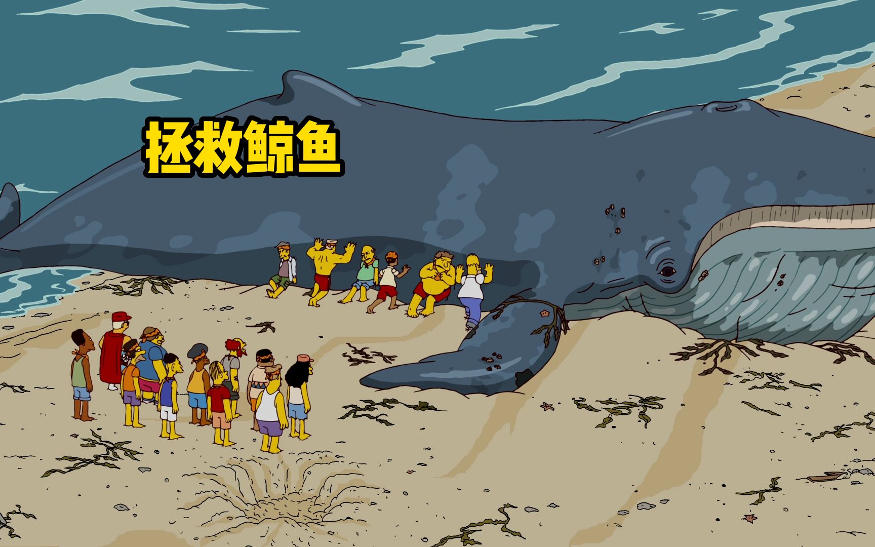 春天镇的岸边搁浅了一头鲸鱼,为了拯救它侯默想尽一切办法