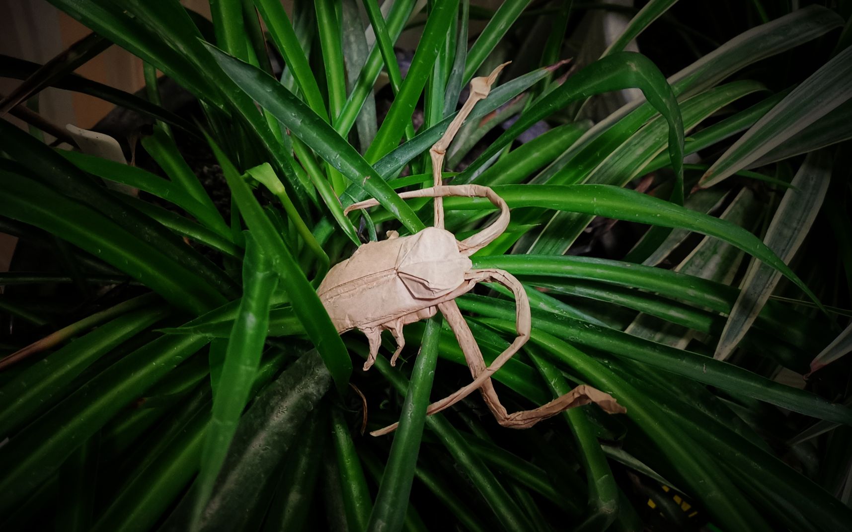 壹零后折纸:长臂天牛【首折】_哔哩哔哩_bilibili