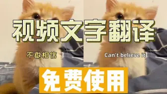 2023最新的AI视频翻译软件，自动翻译后保留原文字的样式和位置，免费使用，裂墙推荐。