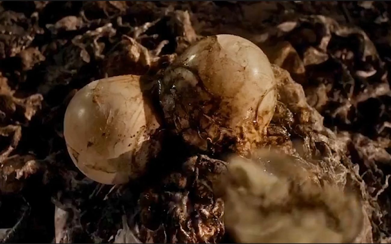 不要小瞧了这两个会喷烟的蛋,它能让你变异!