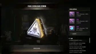 下载视频: PUBG newjeans四级进阶商店，速开纯享，远离抽奖.....（已血赚）