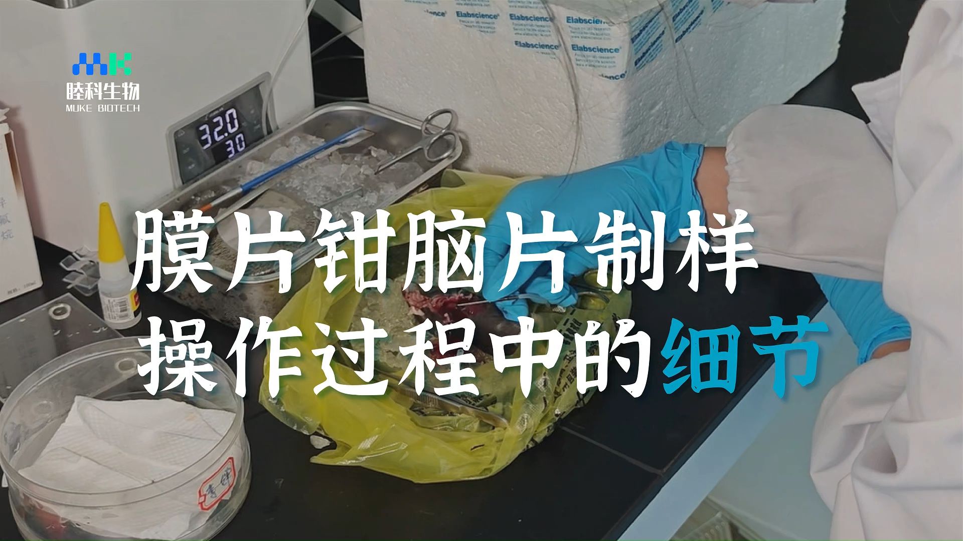 Patch Clamp Brain Slice Preparation Details