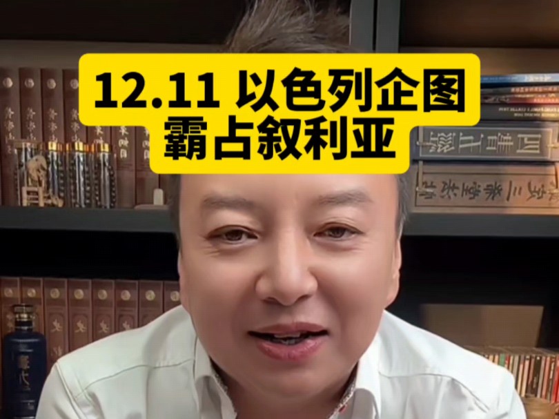 电哥:12.11 以色列企图霸占叙利亚。-账号已注销-账号已注销-哔哩哔哩视频