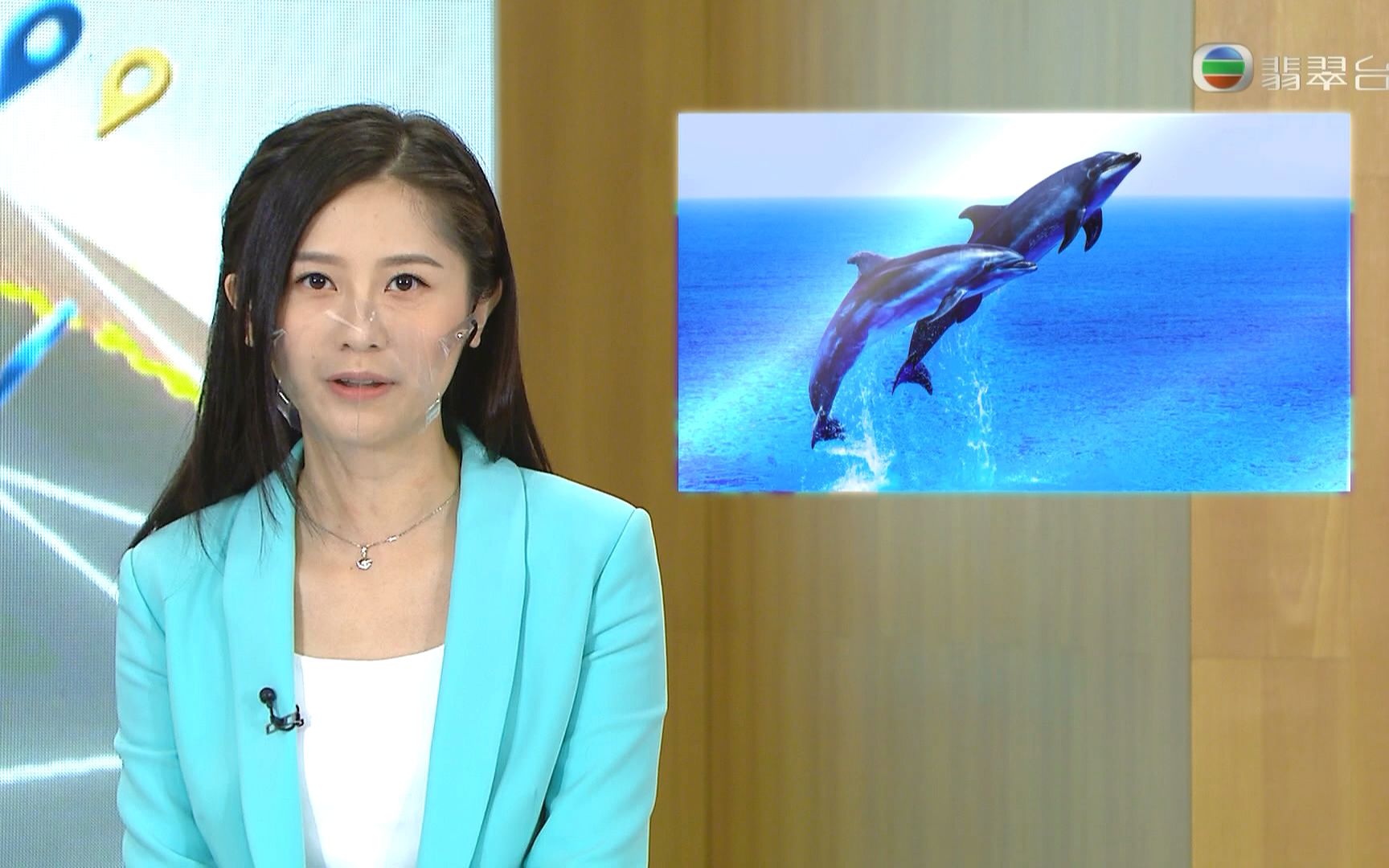 倪嘉雯 think big天地 - 日本首次人工繁殖對馬山貓(big big news)