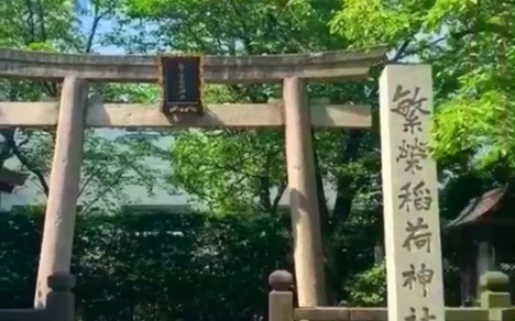 Trappertv的个人空间 哔哩哔哩移动版