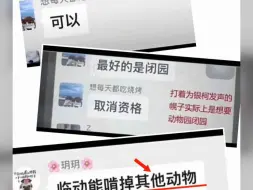 Download Video: 有组织地攻击临沂动物园 国家网监不管管吗？