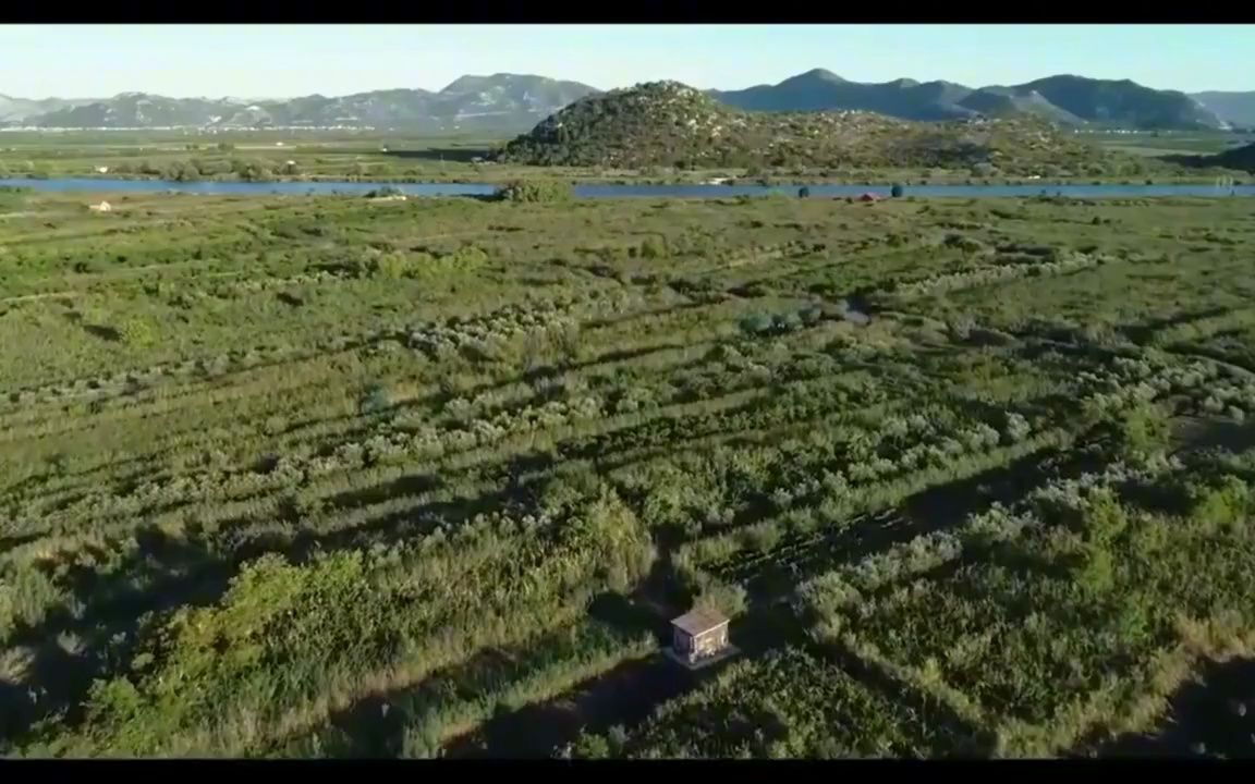 萨克斯顶级金曲《茉莉花》纯音乐完整版,经典抒情旋律,名曲欣赏哔哩哔哩bilibili