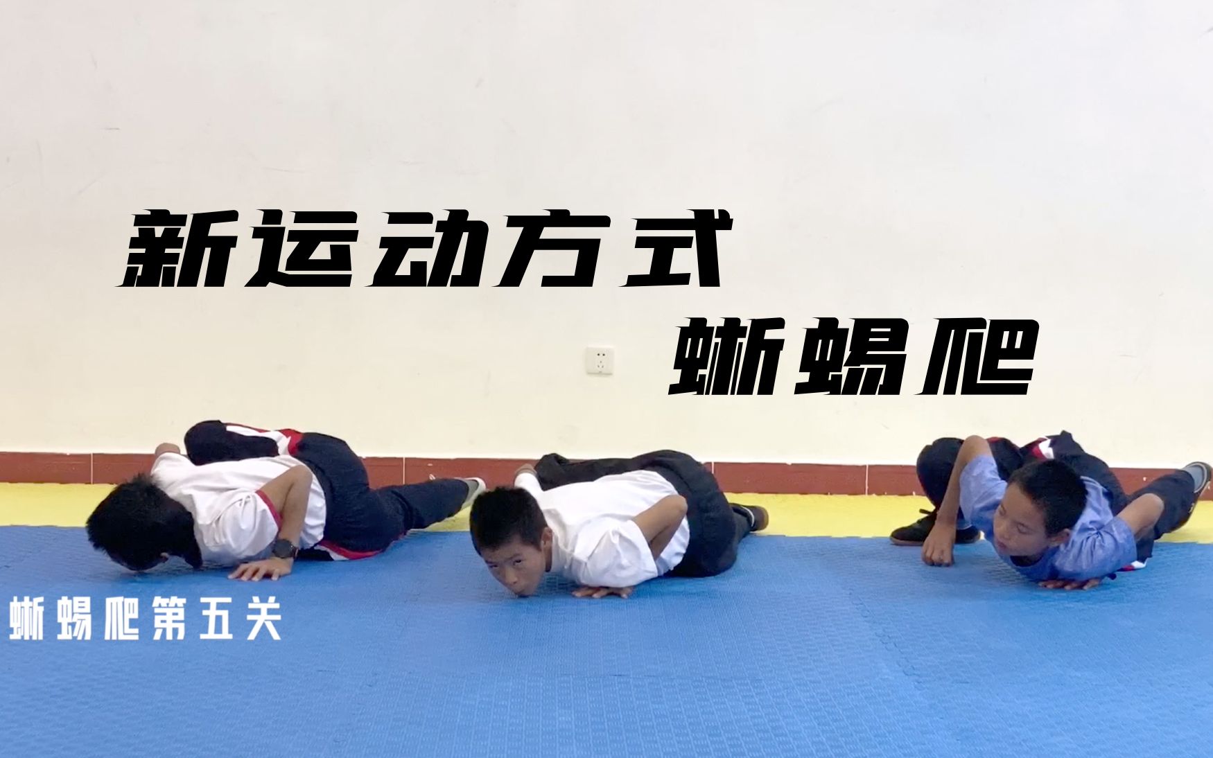 【示范班运动#1】六种蜥蜴爬 2020-12-10_哔哩哔哩_bilibili