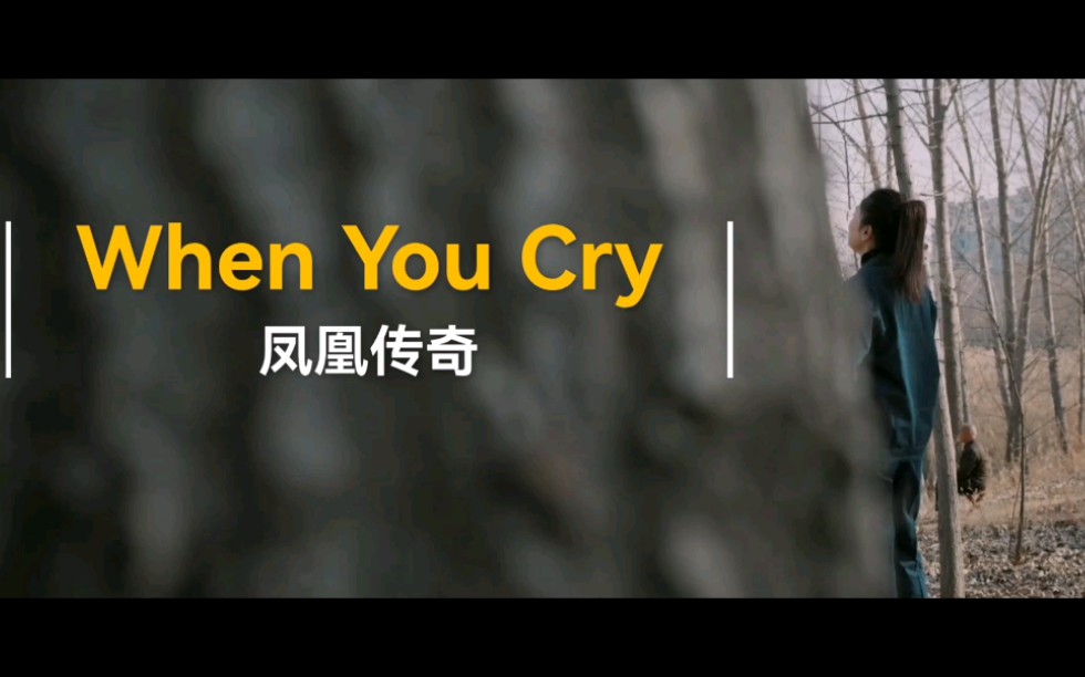 [图][凤凰传奇] When You Cry