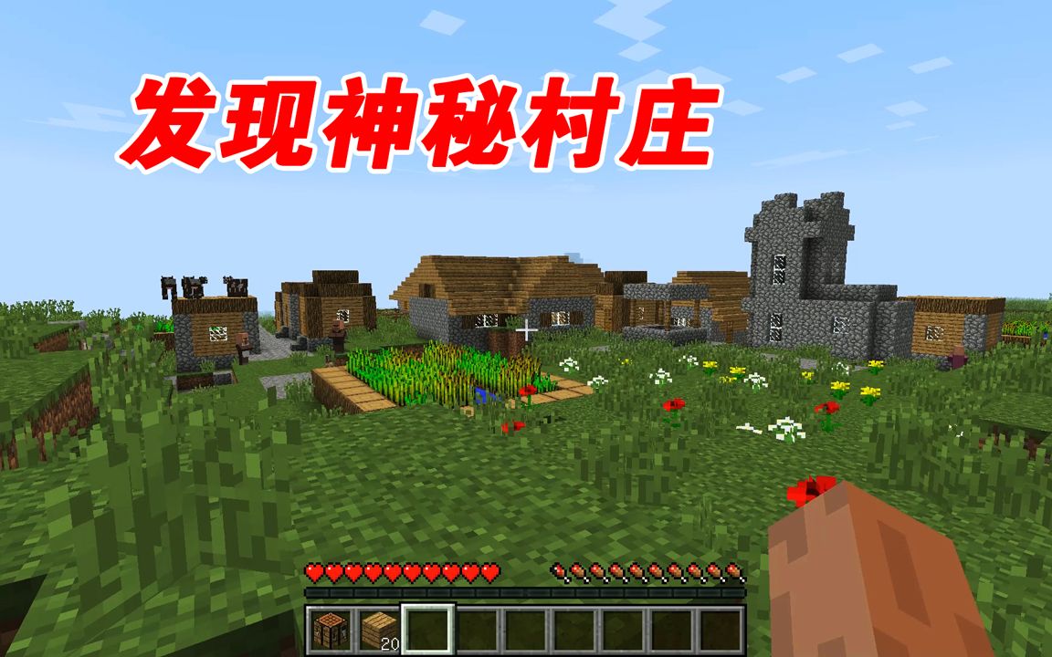 我的世界:小仙女穿越到异世界,偶然发现神秘村庄!