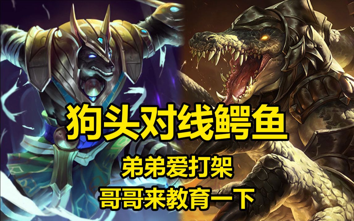 狗头对线鳄鱼,弟弟爱打架,哥哥急忙教育:要打跟我打,打到不想打为止