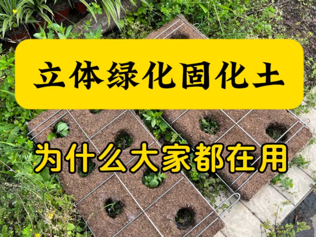 这是一款广泛应用于边坡护坡修复、植物墙绿化的固化板材,非常受立体绿化行业的青睐哔哩哔哩bilibili