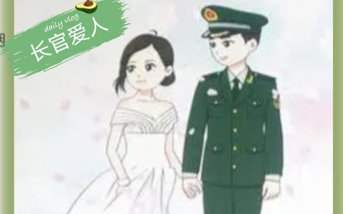 [图]《长官爱人》先婚后爱，高干，军婚文 文笔超好哦！