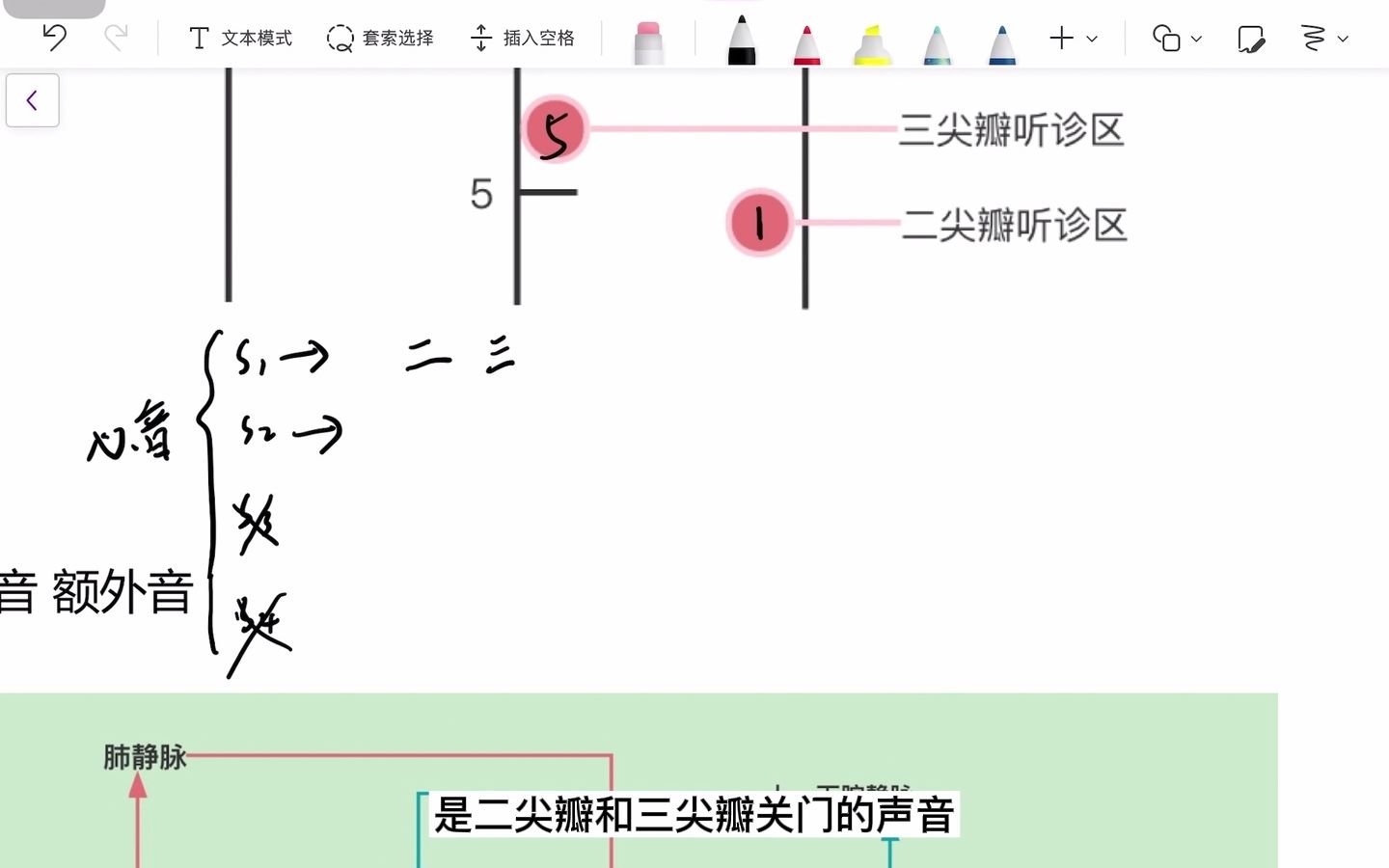 心脏听诊第一心音、第二心音哔哩哔哩bilibili