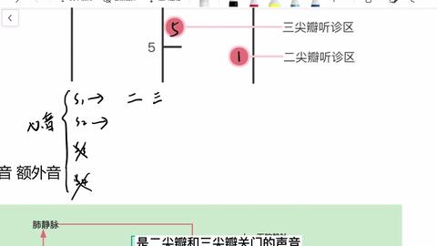 心脏听诊心音 第一第二心音 异常心音 S1增强 S1减弱 S1分裂 S2增强 S2分裂 额外心音 奔马律 开瓣音 等 哔哩哔哩 Bilibili