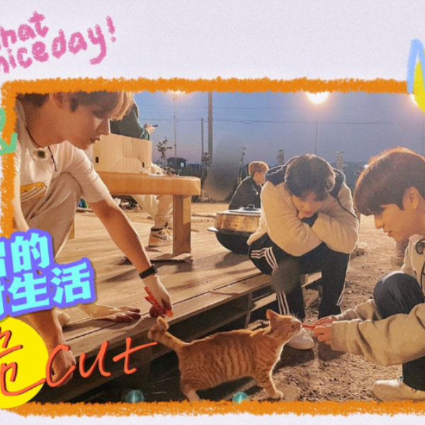 离危] SKZ CODE EP.10~12 cut_哔哩哔哩_bilibili