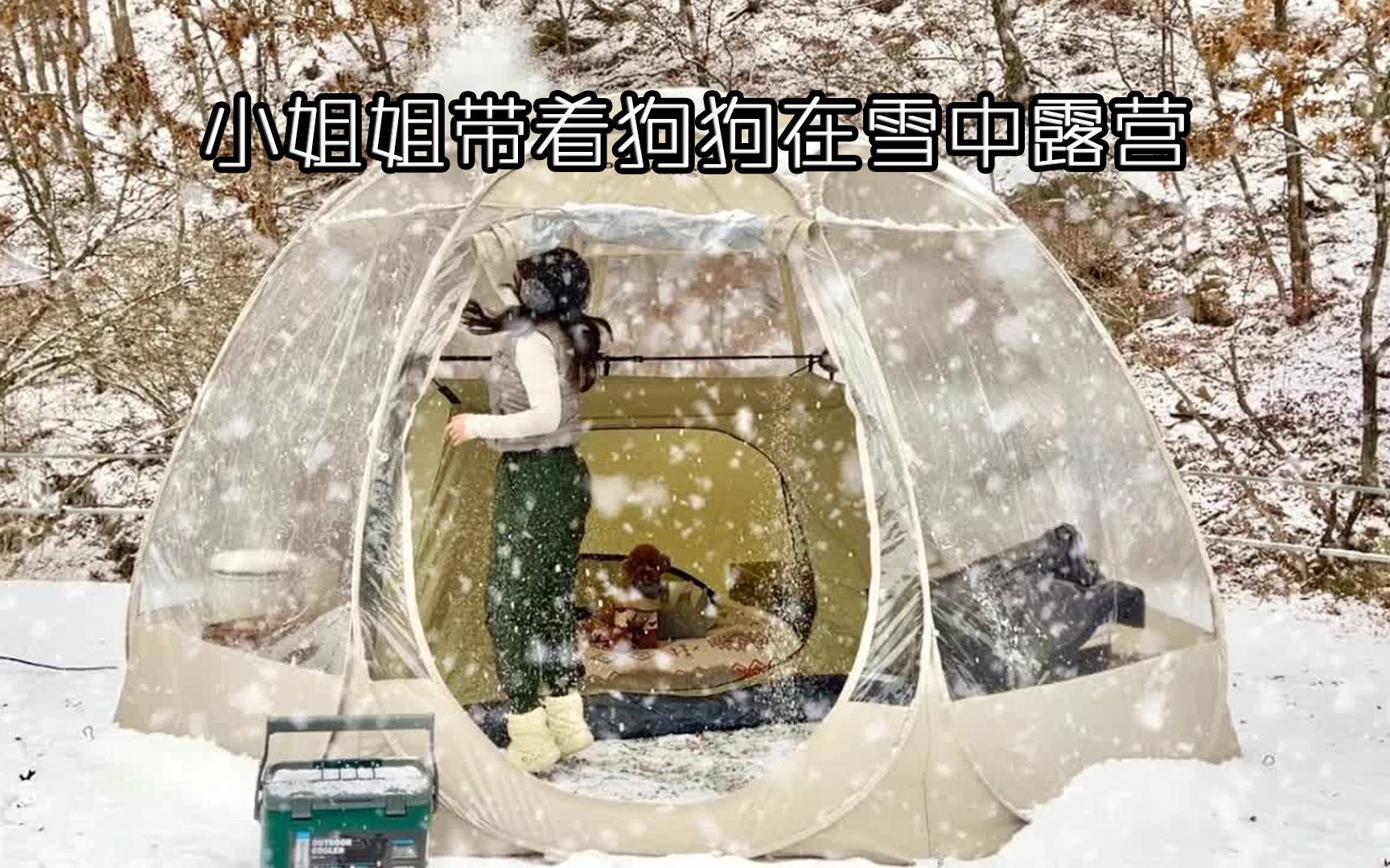 [图]小姐姐带着狗狗在雪中露营