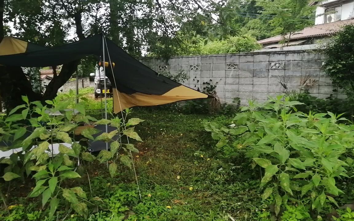 炎熱的夏天在野外露宿,自然的空氣和柔軟的草地使人很容易入睡,人類和