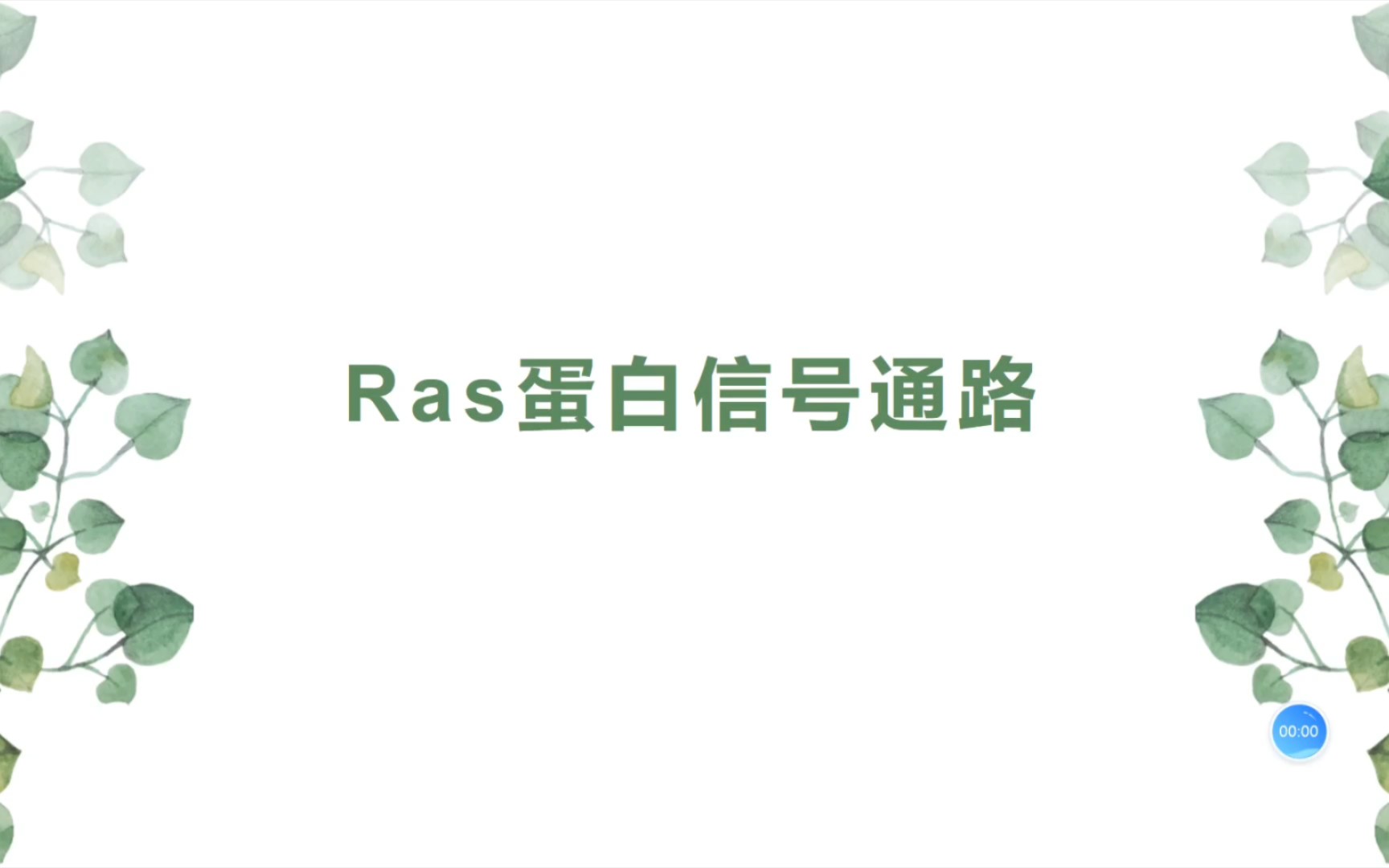 Ras蛋白信号通路哔哩哔哩bilibili