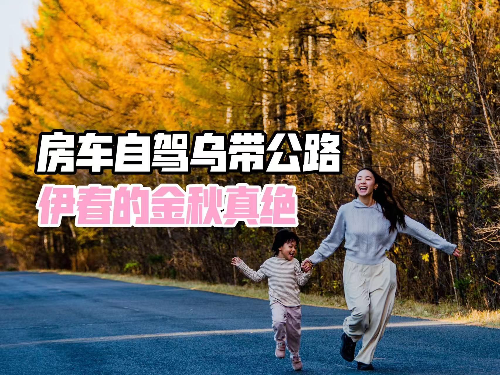 被乌带公路的秋色醉倒,算不算醉驾?哔哩哔哩bilibili