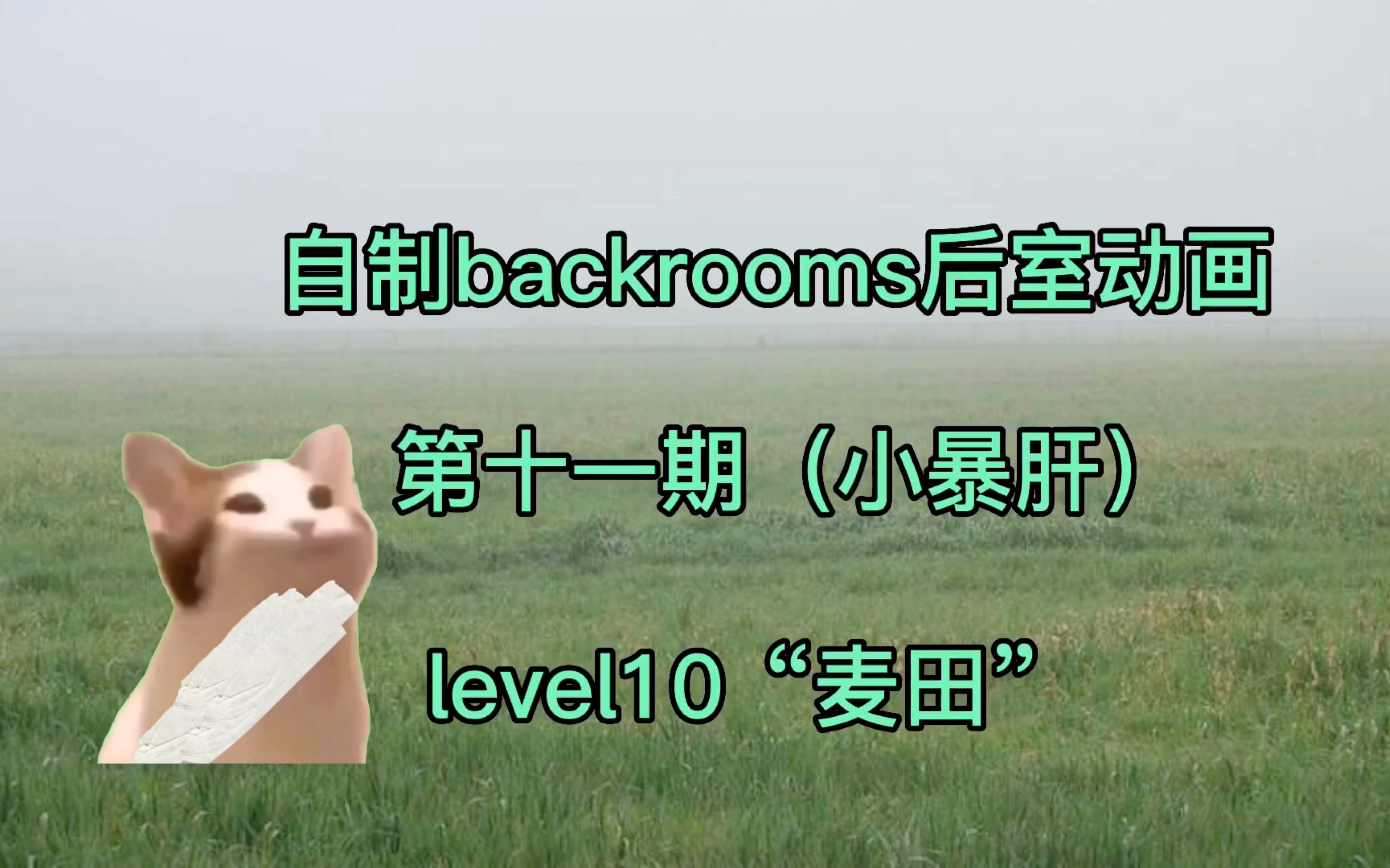 [图]【自制backrooms后室动画第十一期】level10“麦田之上的危机”