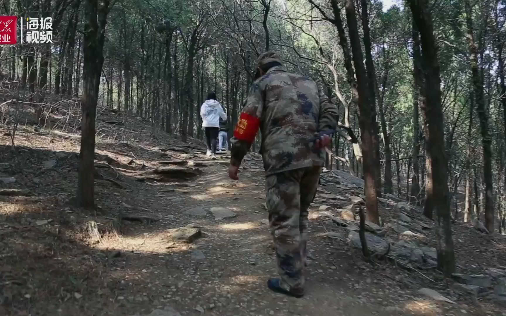 植树节特别策划|42年如一日,与山林厮守,终生不悔哔哩哔哩bilibili