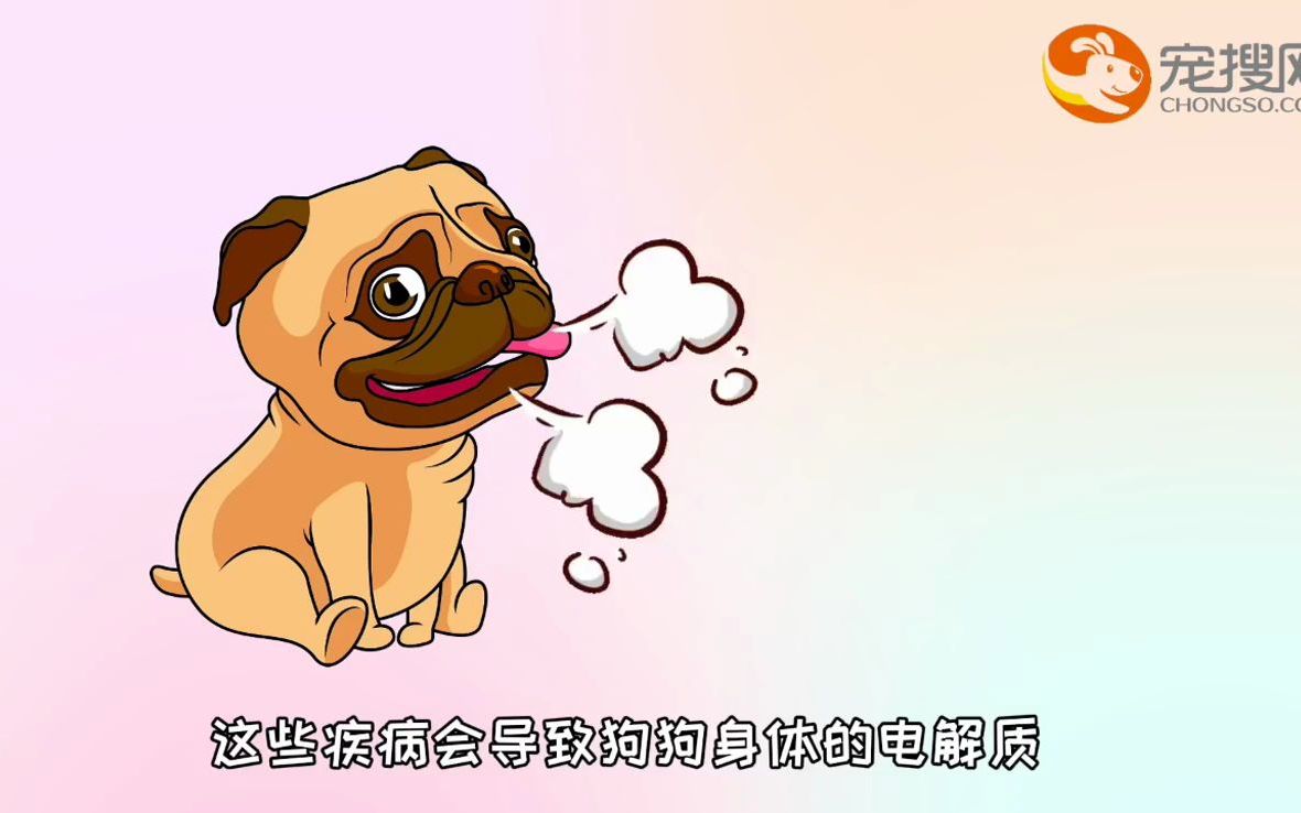 狗狗气喘呼吸急促是什么原因哔哩哔哩bilibili