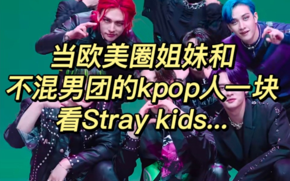 [图]我的欧美圈姐妹和我一块看Stray kids....