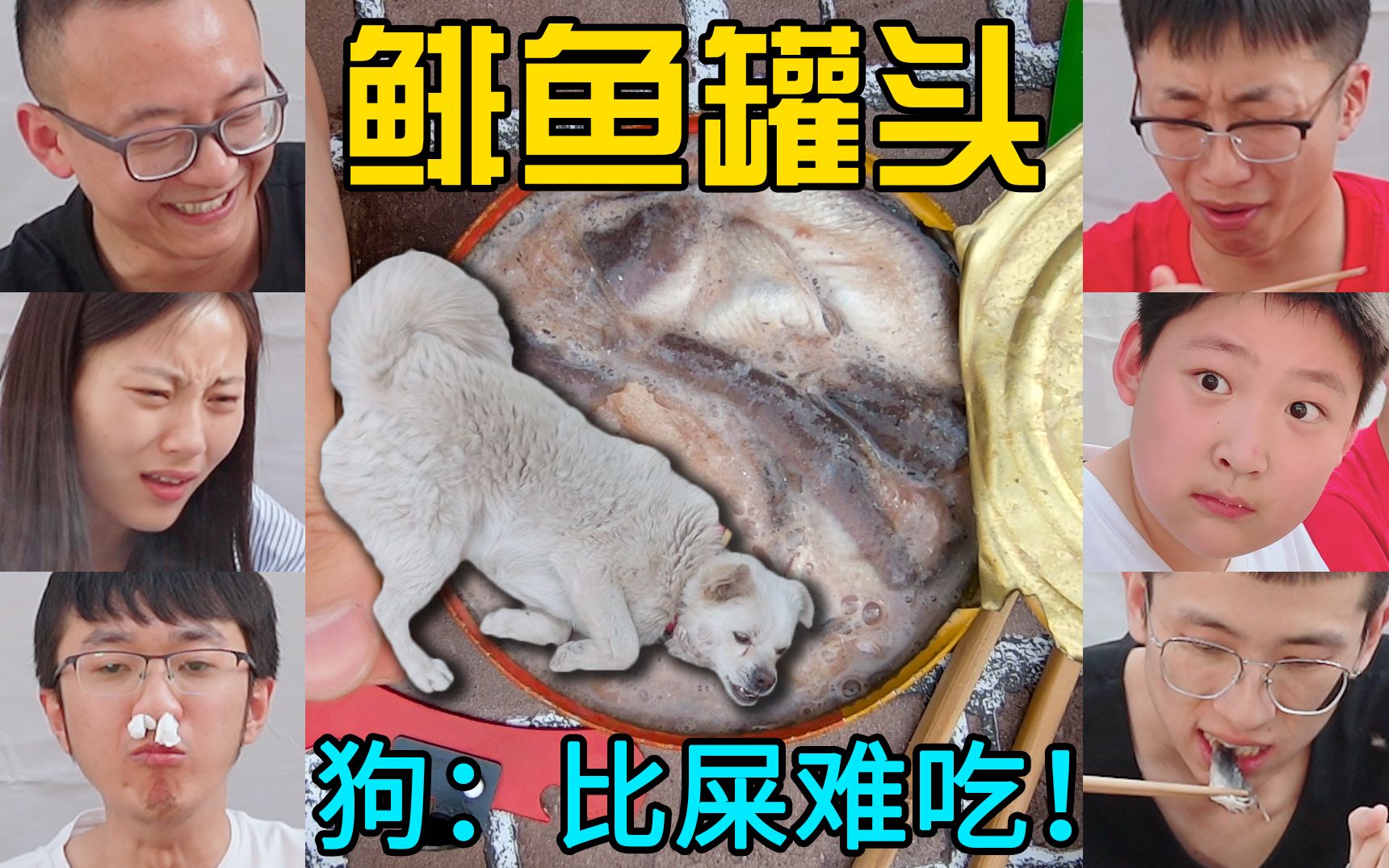 鲱鱼罐头烤着吃?我家狗都恶心哭了!