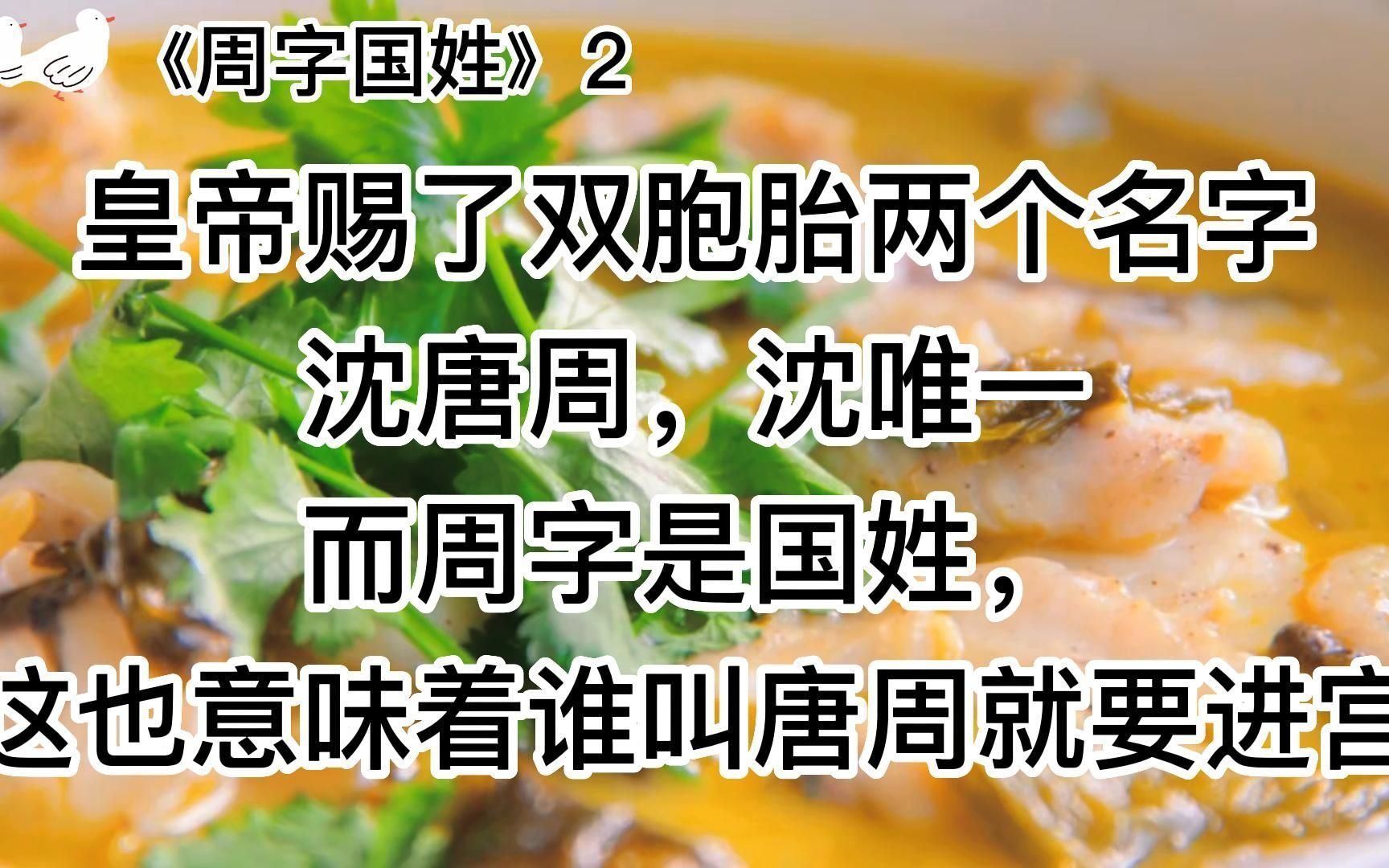 《周字国姓》温馨治愈文,没有勾心斗角却总泛着忧伤哔哩哔哩bilibili