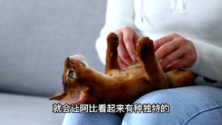 会变色的猫哔哩哔哩bilibili