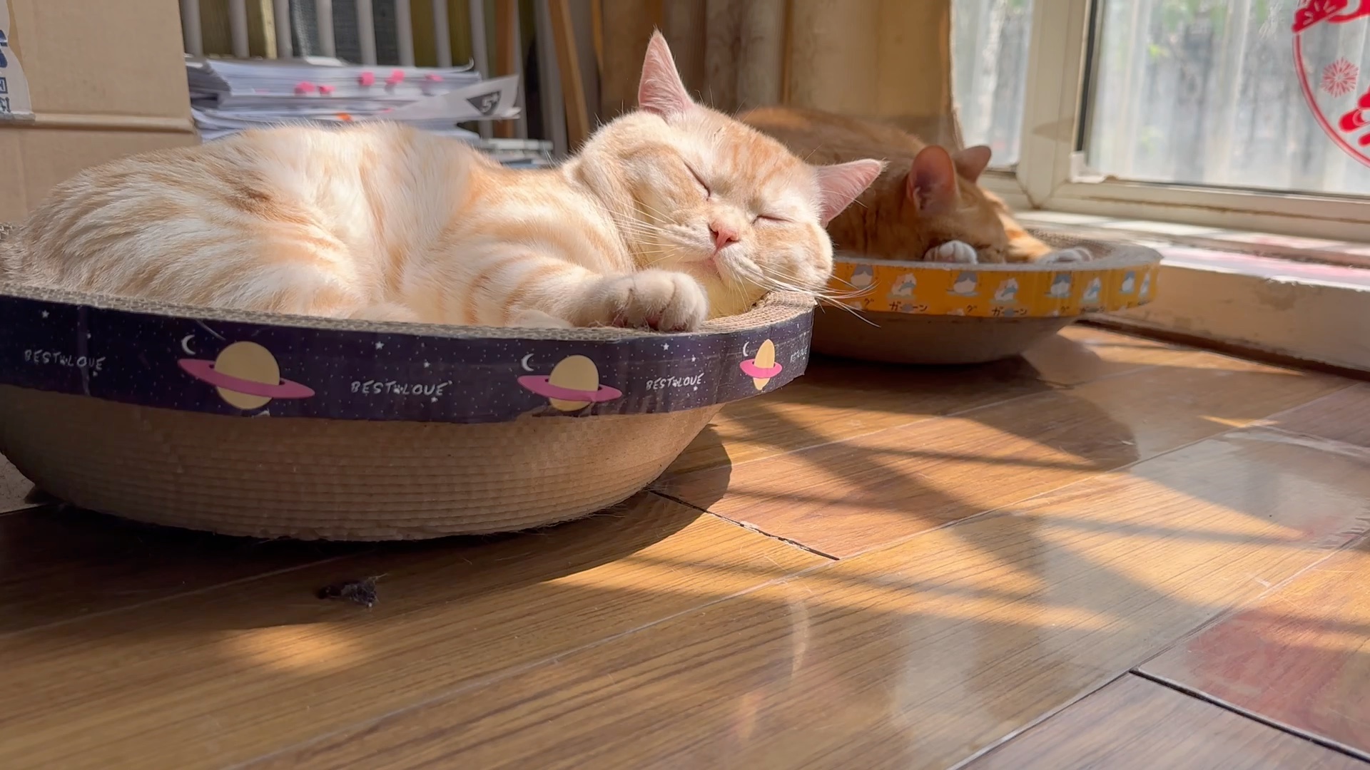 午后惬意的阳光