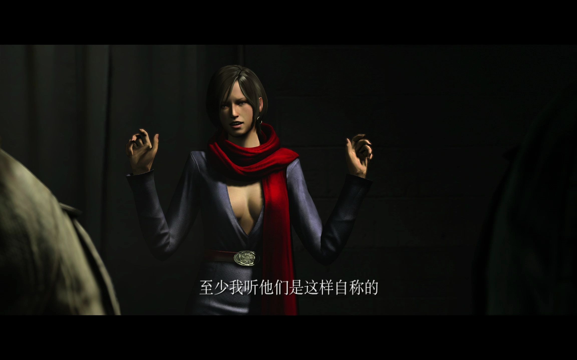 生化危机6克里斯篇续已完结