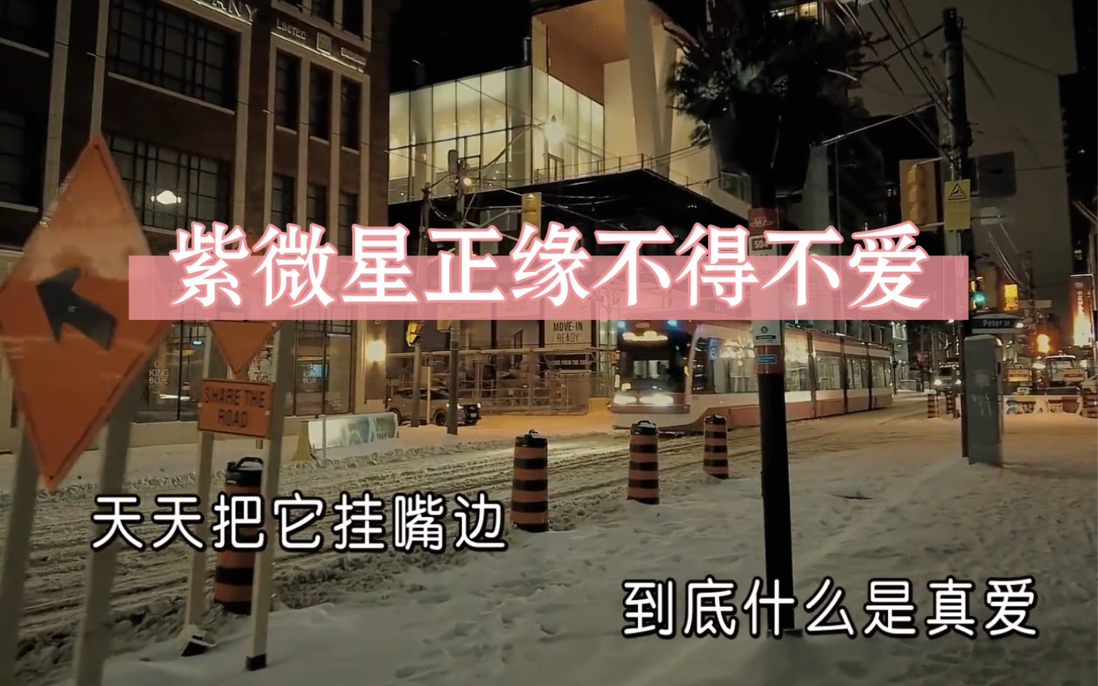 紫微星和正缘的姻缘,天注定,不得不爱,天下有情人终成眷属(灵感小说