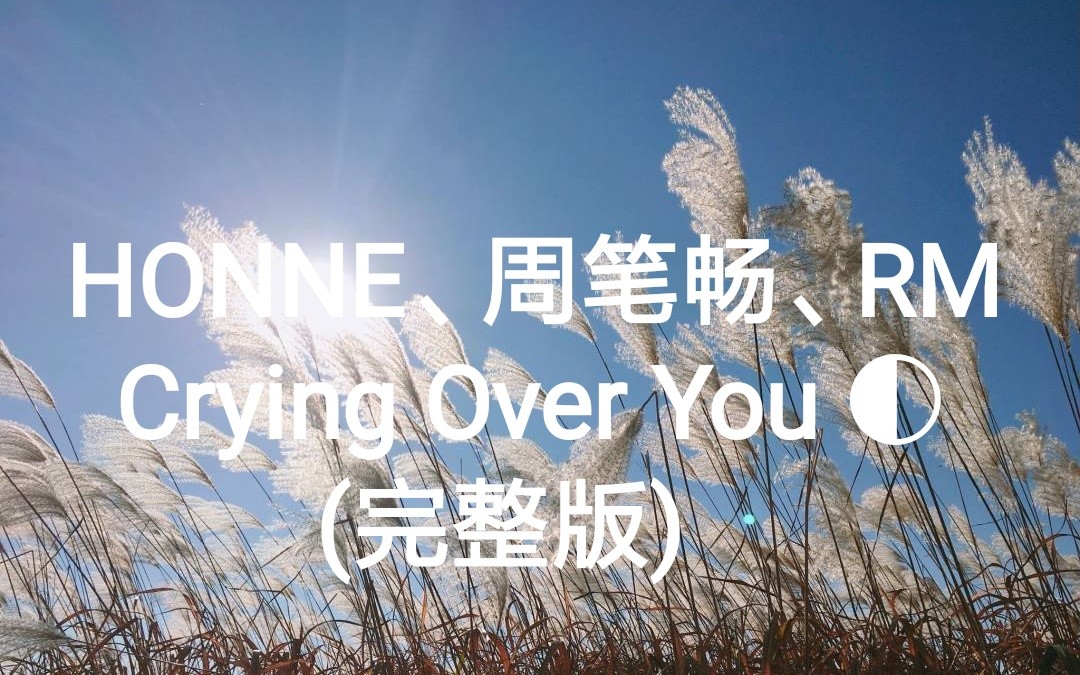 [图]HONNE、周笔畅、RM金南俊(完整版)Crying Over You ◐