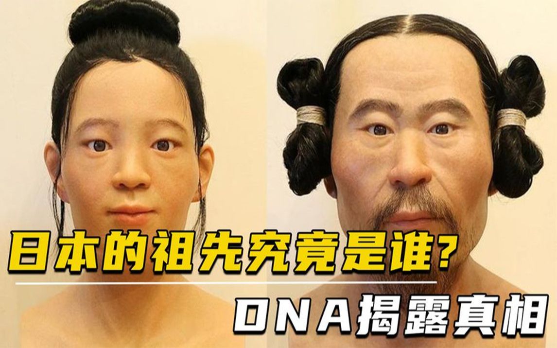 dna检测揭露真相,日本人看到结果不淡定了