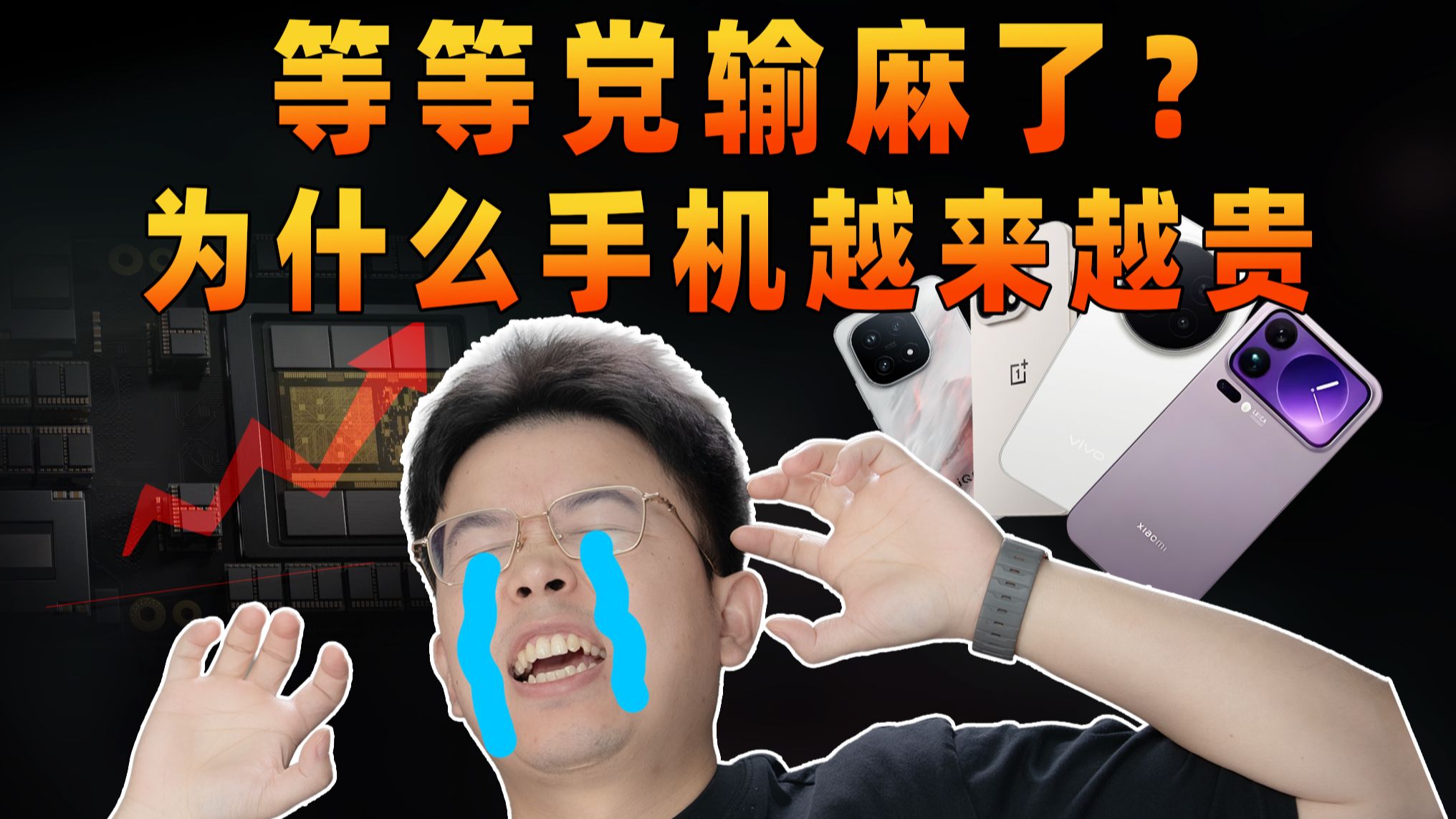 等等党输麻了！为什么手机越来越贵？内存还要涨多久？ | 大米评测