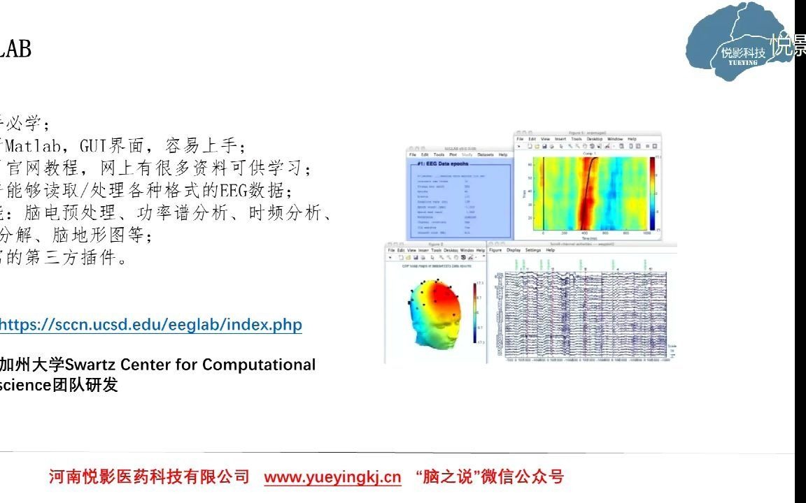悦影科技EEG/ERP基础知识系列讲座第6讲:脑电分析中常用的工具包哔哩哔哩bilibili