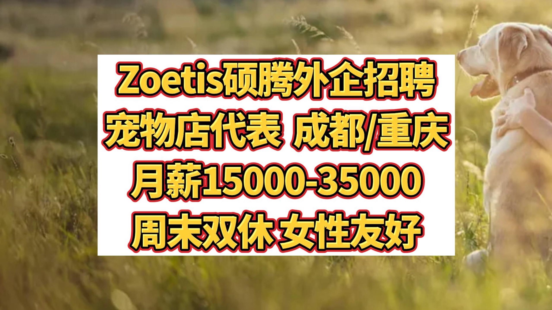 Zoetis硕腾外企社招,动物保健龙头外企,周末双休,女性友好,退休储蓄哔哩哔哩bilibili