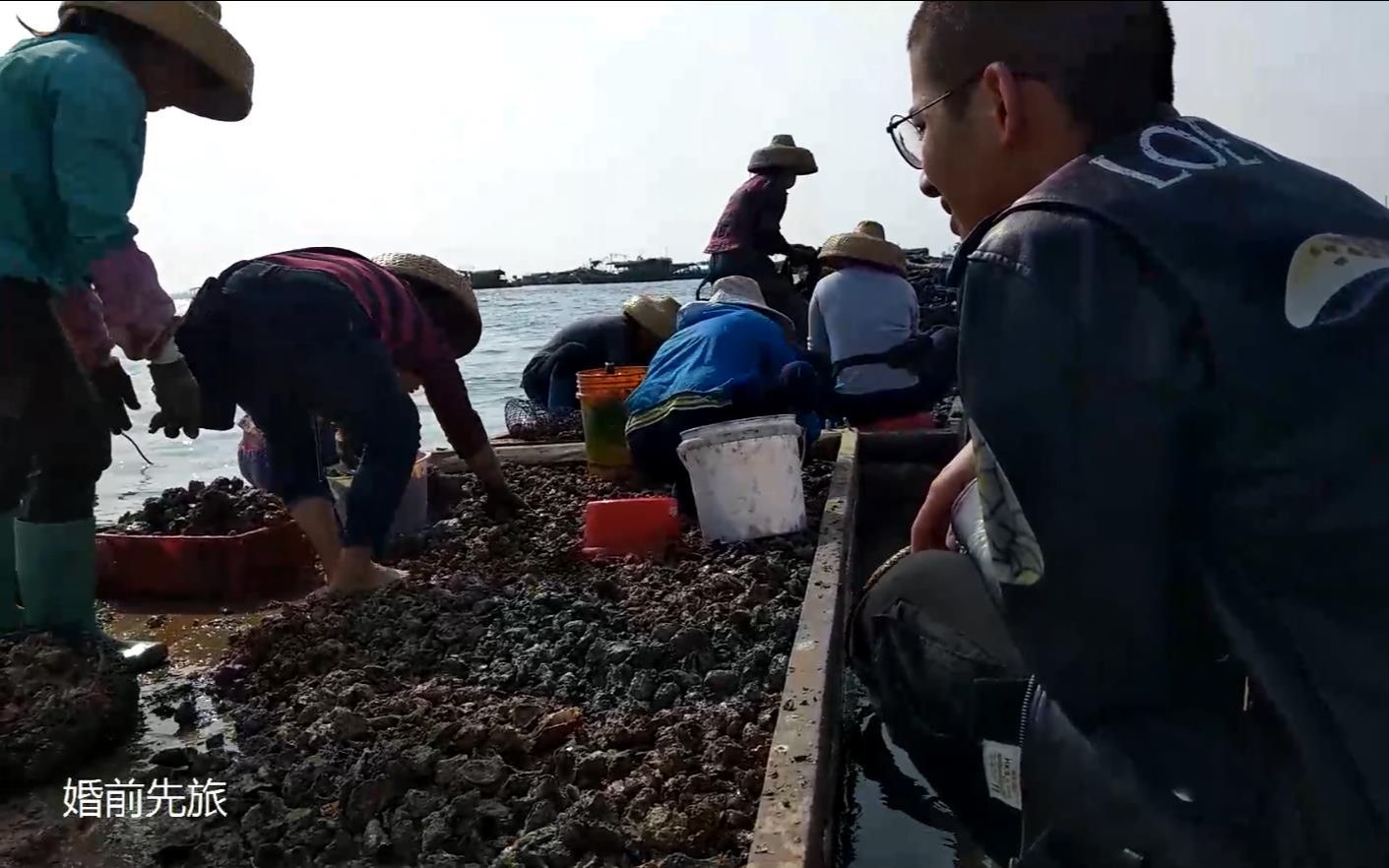 湛江生蚝很出名,但很便宜才2块钱!东海岛当地渔民真是生活哔哩哔哩bilibili