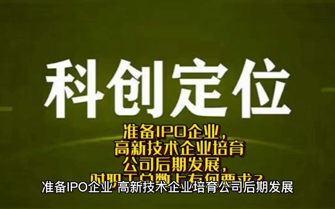 准备IPO企业,高新技术企业培育公司后期发展,对职工总数上有何要求?哔哩哔哩bilibili