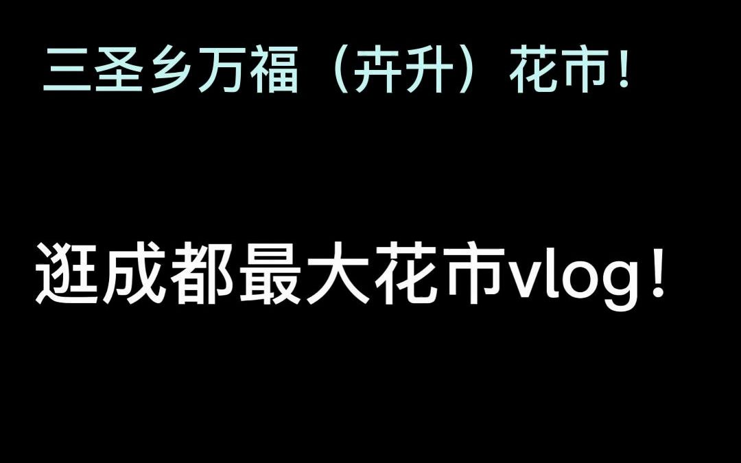 [图]逛成都最大花市---三圣乡万福（卉升）花市