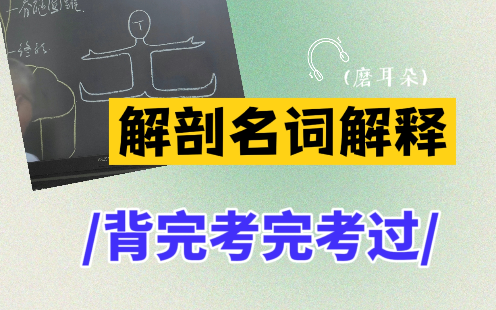 [图]《系统解剖名词解释》人体解剖专升本名词解释核心考点资料系统解剖专升本霍琨系统解剖人体解剖人体解剖高频考点期末考试考点人体解剖期末考试系统解剖名词解释