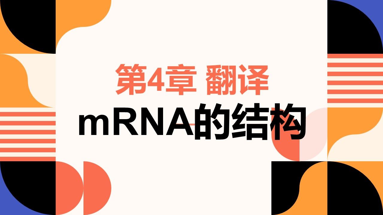 【分子生物学】第4章 翻译 | 第1节 mRNA | mRNA的结构哔哩哔哩bilibili