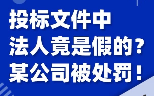 法人还能是假的?投标文件里多份材料显示的法人竟然都是假的,某公司被处罚!哔哩哔哩bilibili