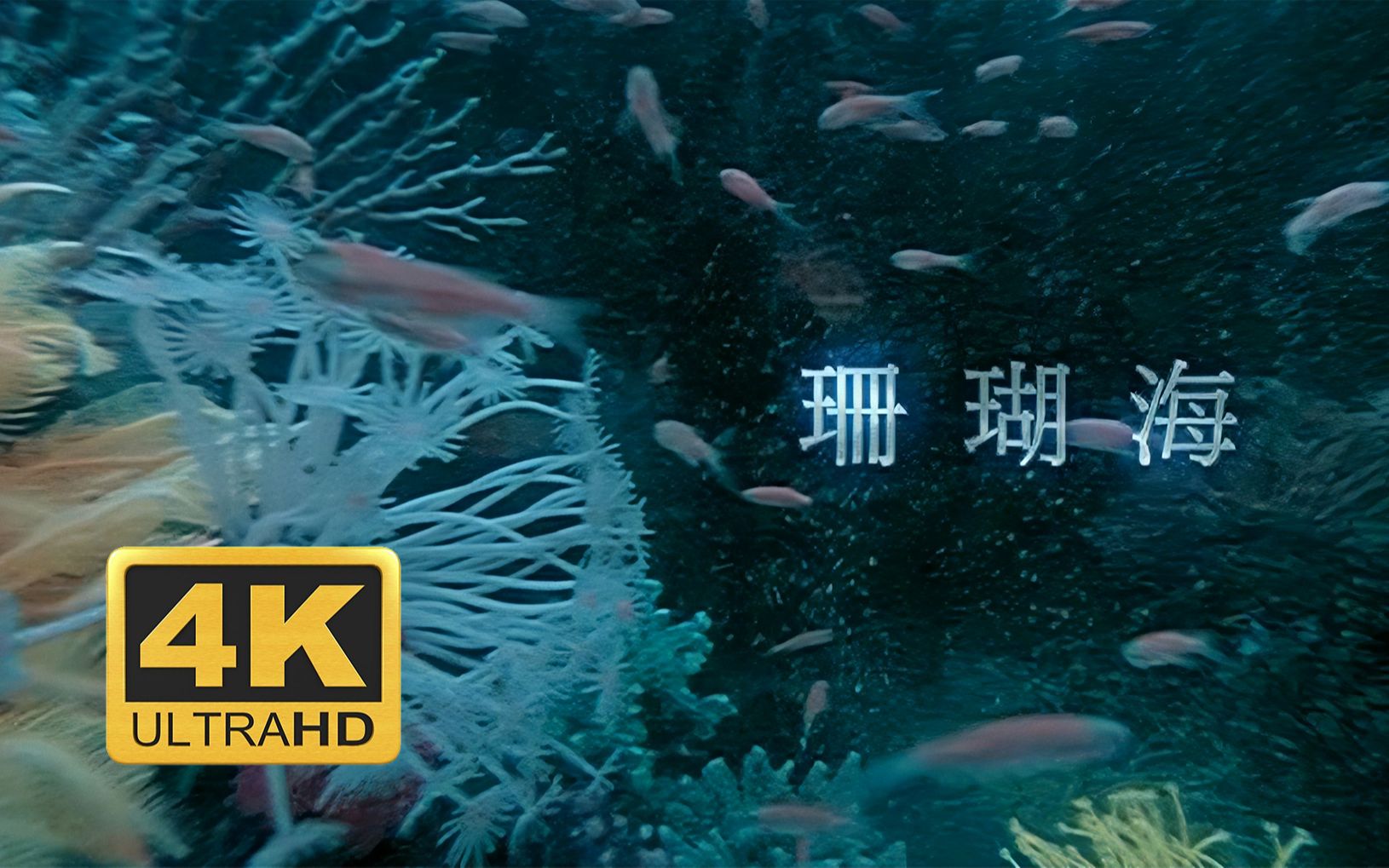 深夜电台：周杰伦经典情歌《珊瑚海》MV-直播吧zhibo8.cc