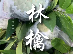 Descargar video: 该吃林檎的时候了，你今年吃林檎了吗