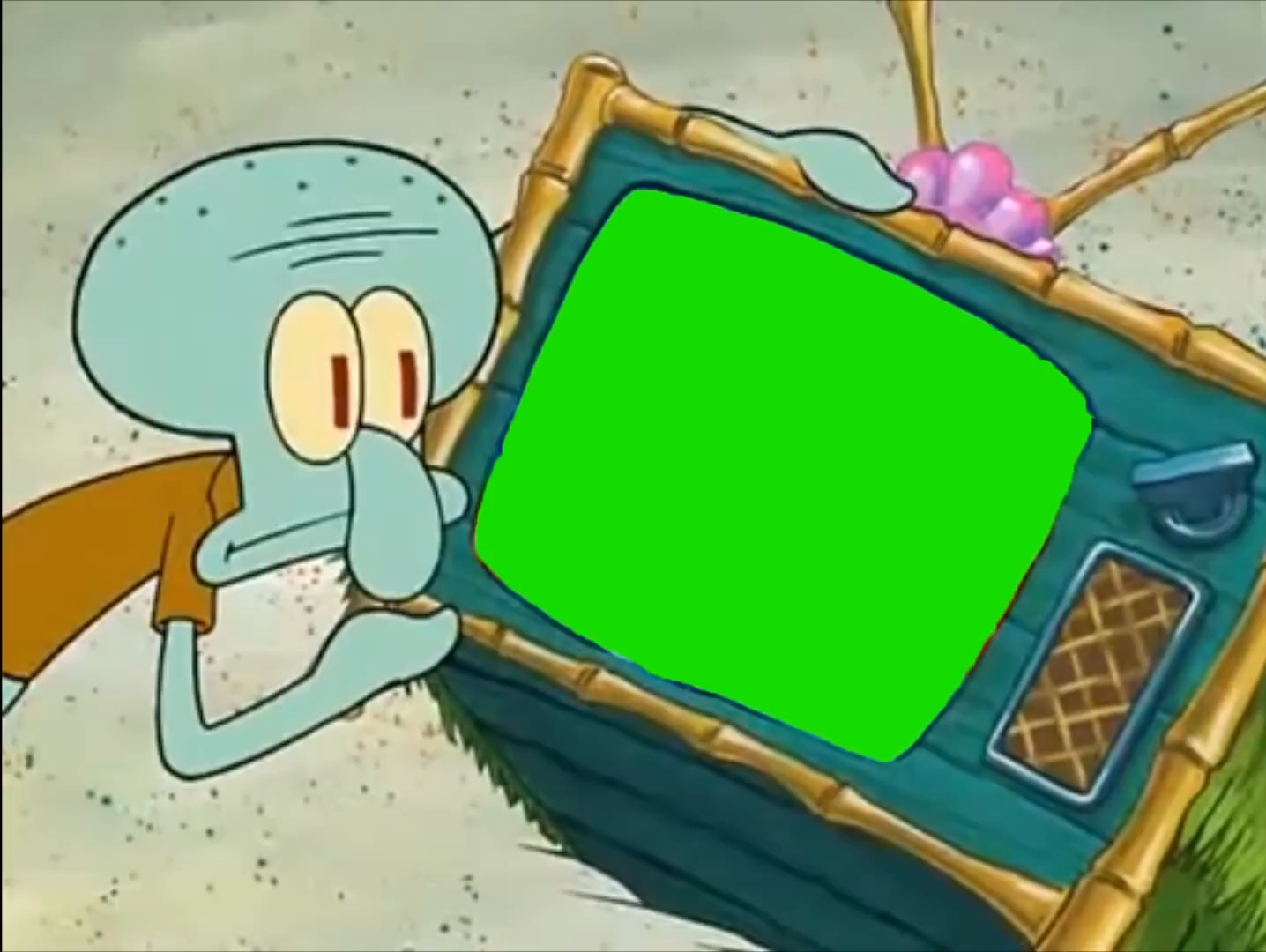 海绵宝宝看电视(互)