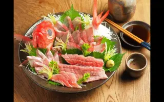 金眼鲷 哔哩哔哩 Bilibili